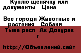 Куплю щенячку или документы › Цена ­ 3 000 - Все города Животные и растения » Собаки   . Тыва респ.,Ак-Довурак г.